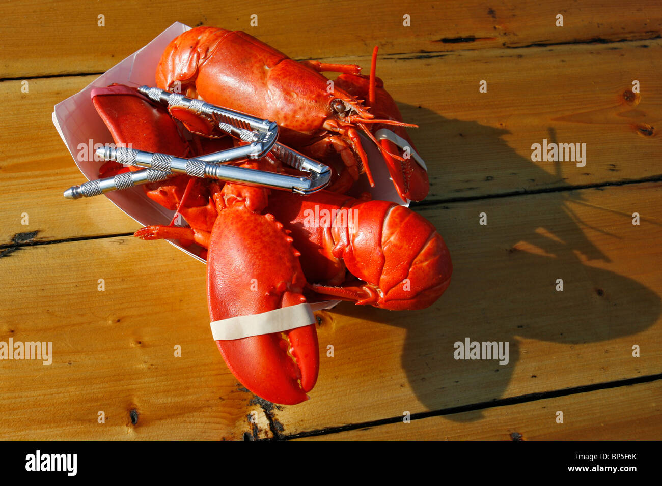 Deux homards et langoustes deux crackers sur une assiette en carton Banque D'Images