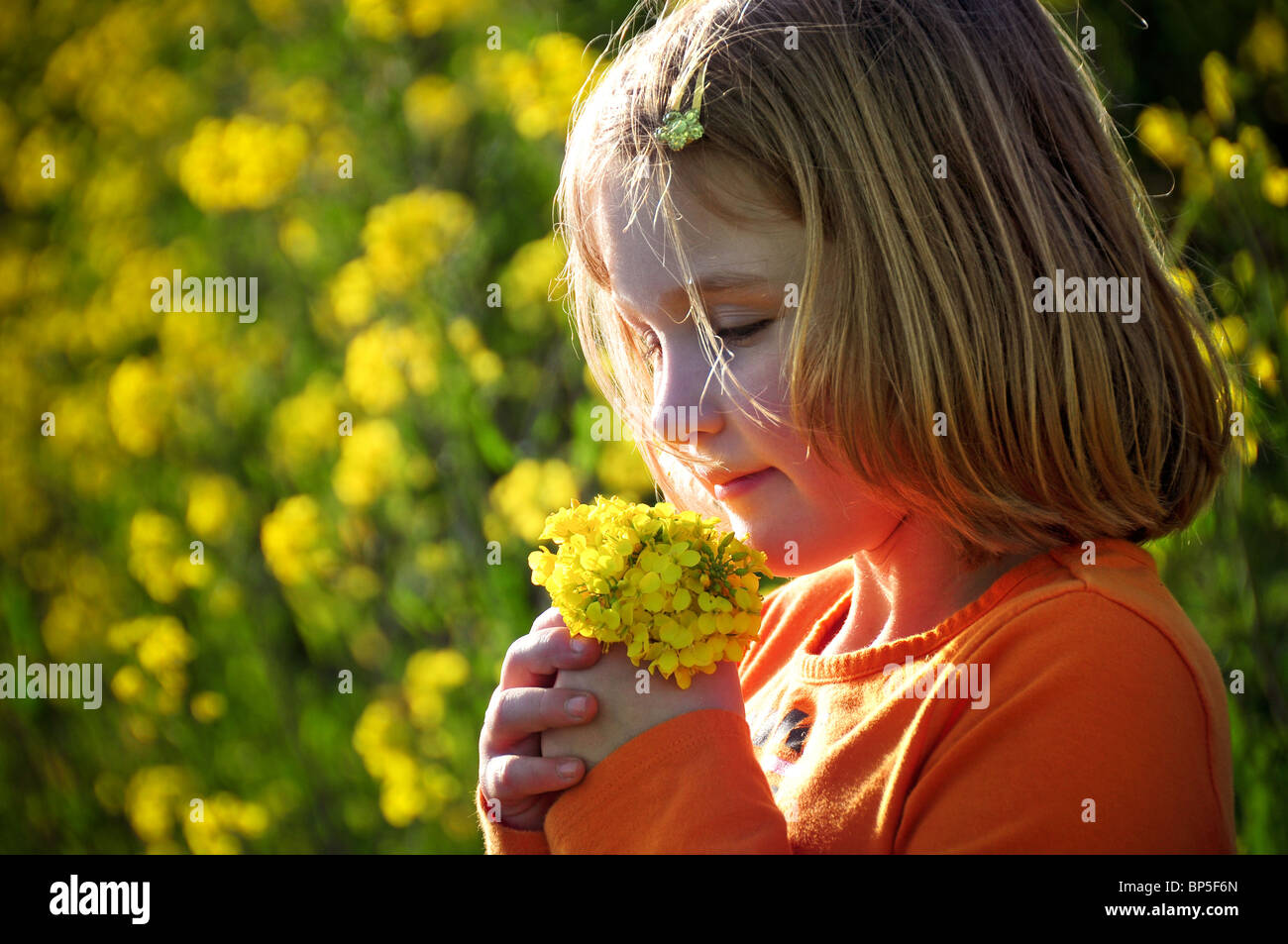 Young caucasian girl picking wildflowers sur la côte californienne. Banque D'Images