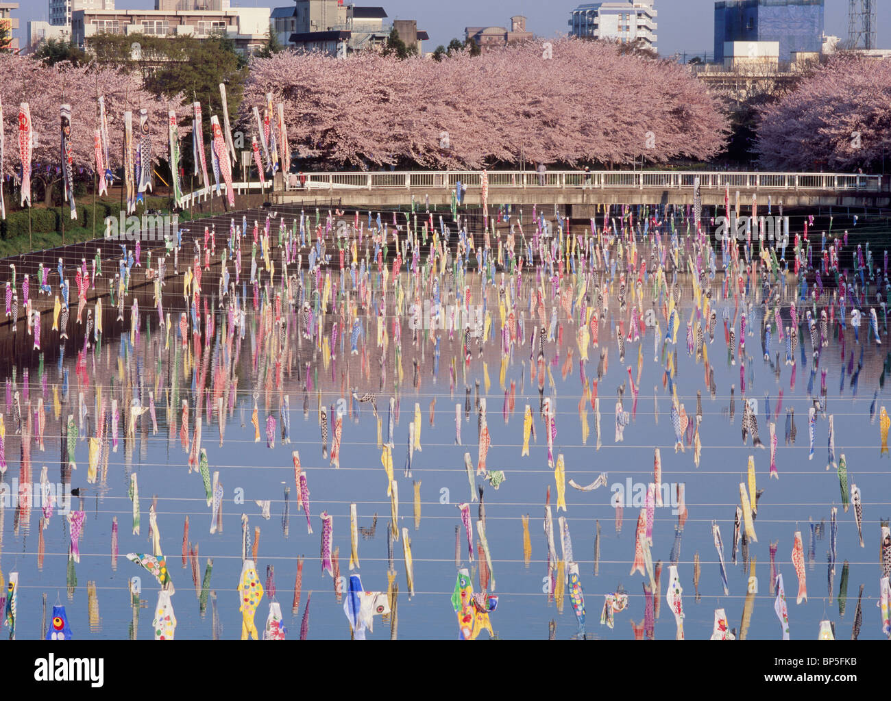 Festival de banderoles, Carp, Tatebayashi, Gunma Japon Banque D'Images