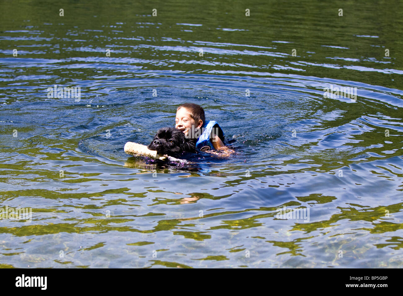 Un enfant d'être tiré hors de l'eau par un chien de Terre-Neuve. Banque D'Images