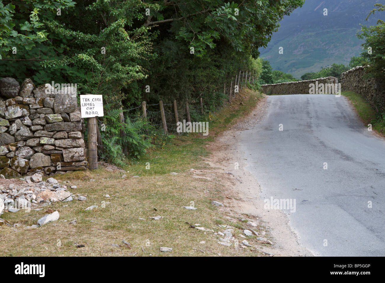 Panneau d'avertissement lors de l'agnelage de temps à proximité, Crummock Water Cumbria Banque D'Images