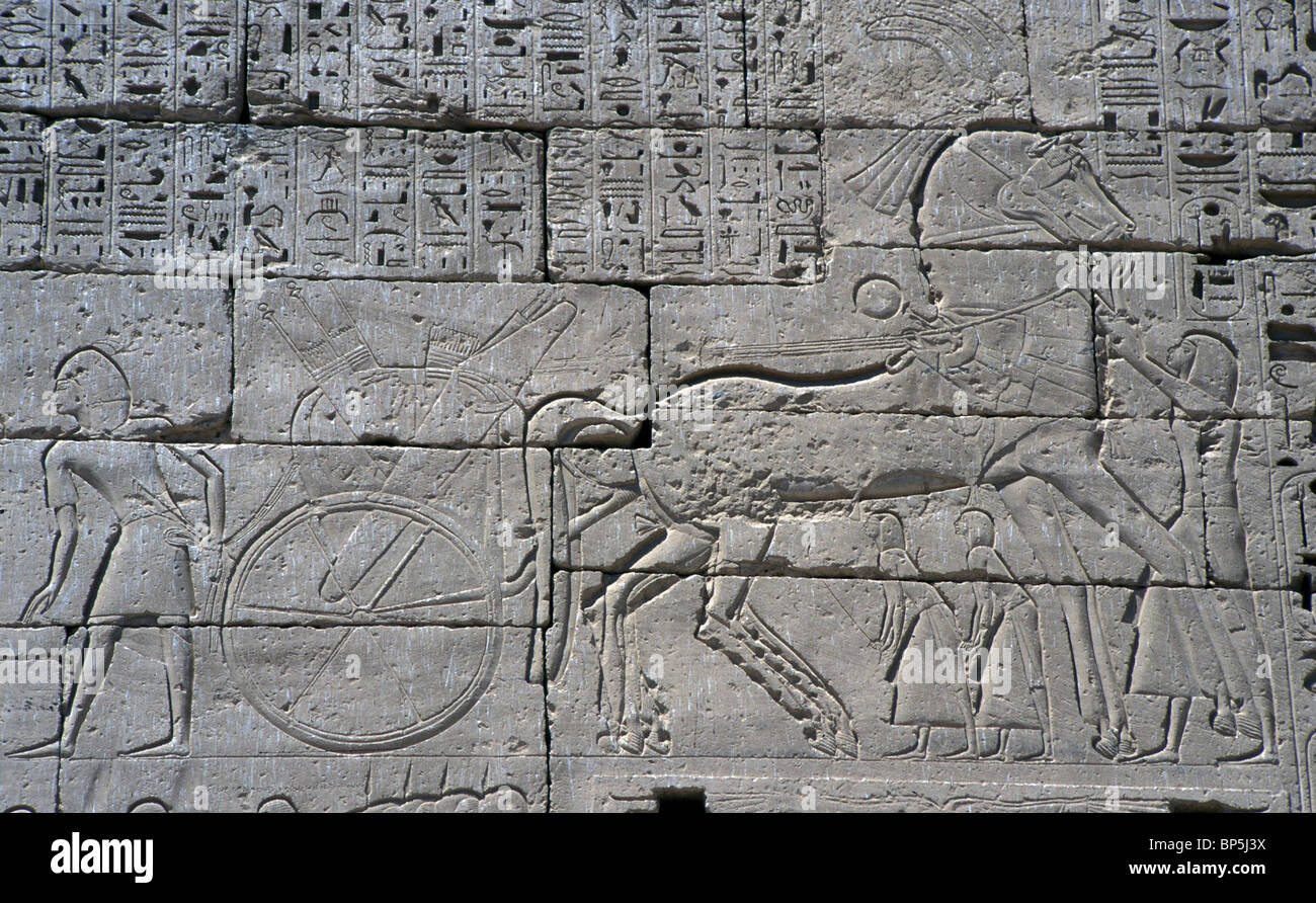 3539. CHARRIOT DE GUERRE égyptien. Soulagement DANS LE GRAND TEMPLE DE Médinet Habou ILLUSTRANT LES BATAILLES DE Ramsès III. (1195 - 1164 avant J.-C.) Banque D'Images