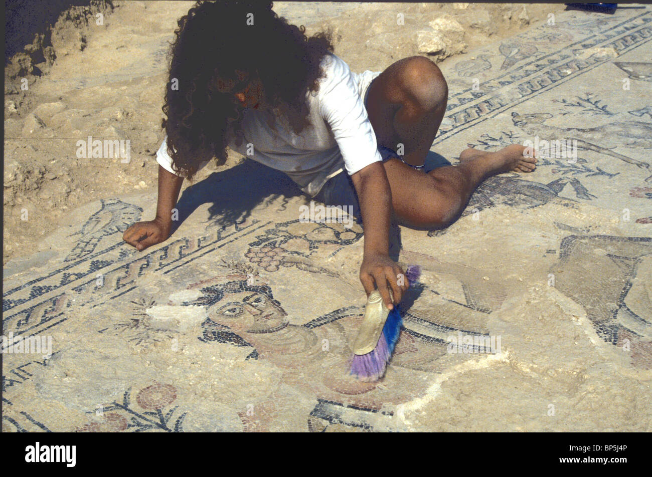 3567. Le travail de terrain archéologique : découvrir un sol de mosaïque à Sepphoris Banque D'Images