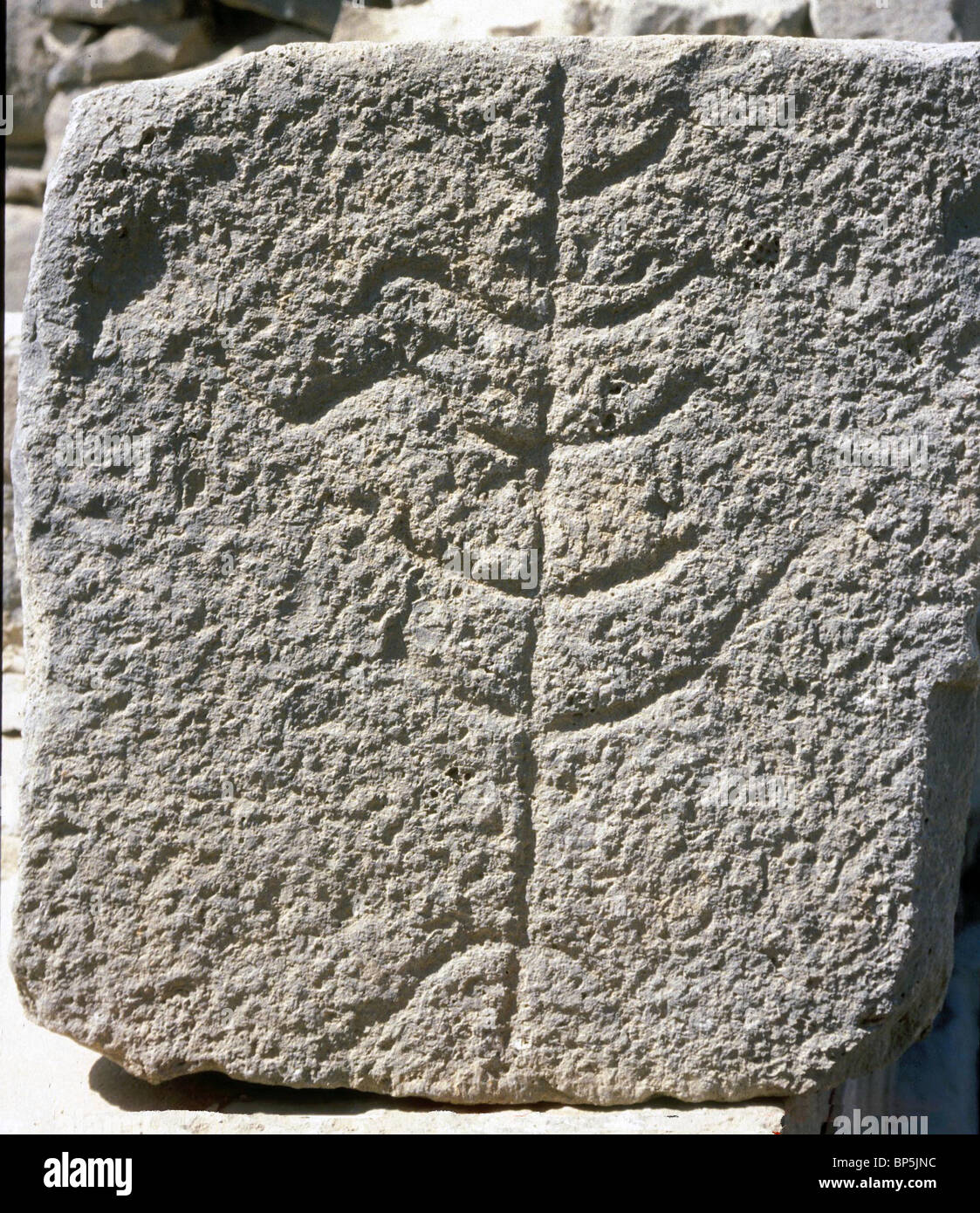 GOLAN KATZRIN SYNAGOGUE C. 5-6Th. C. AD. Détails d'architecture sculpté dans la pierre de basalte LOCALE REPRÉSENTANT L'ARBRE DE VIE Banque D'Images
