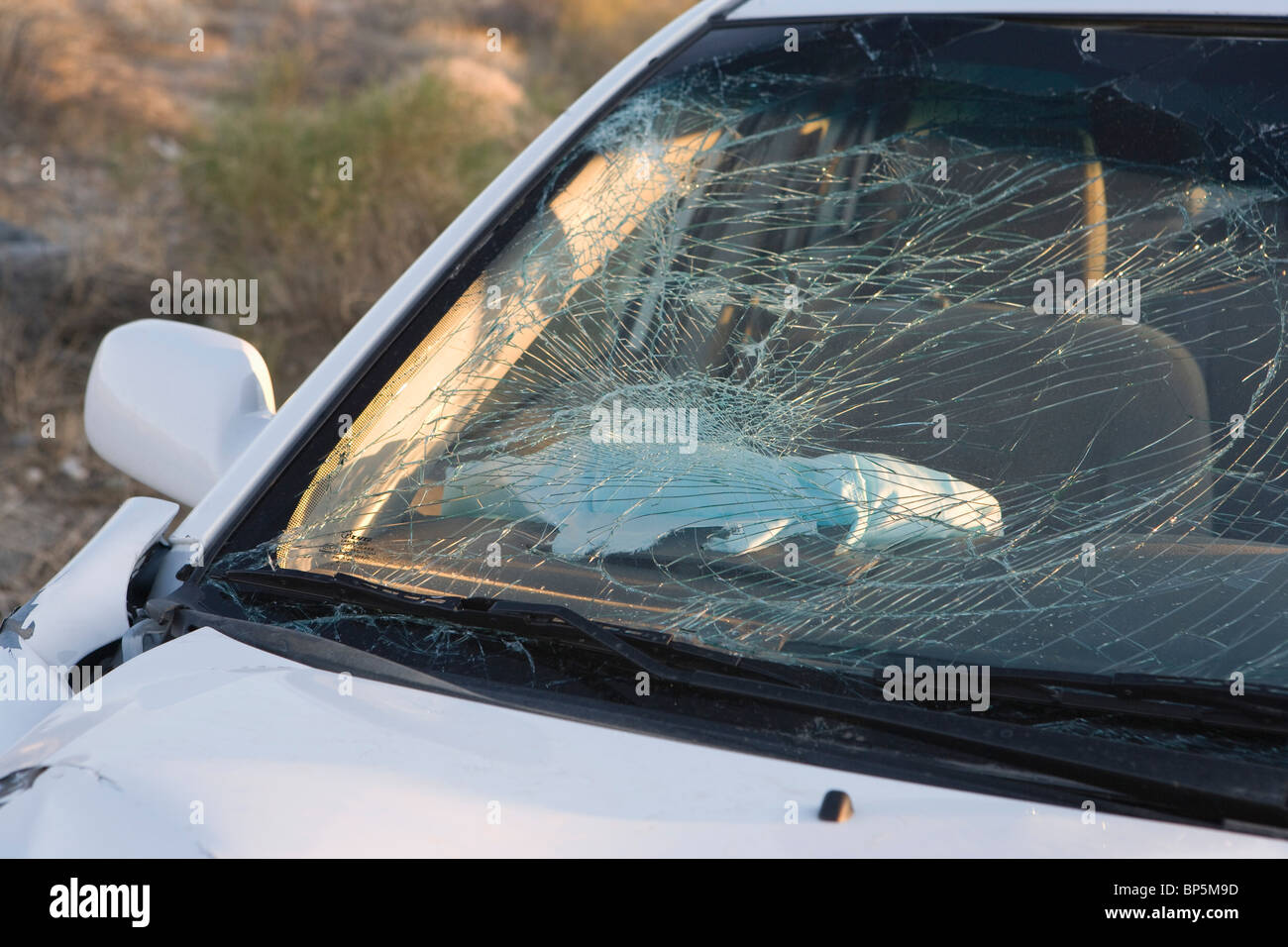 Pare-brise de voiture arrière défoncé Photo Stock - Alamy