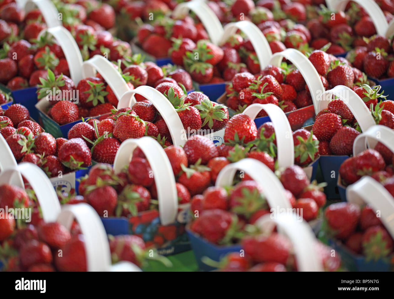 Une collection de plateaux avec le marché fermier de frais fraises rouge Banque D'Images