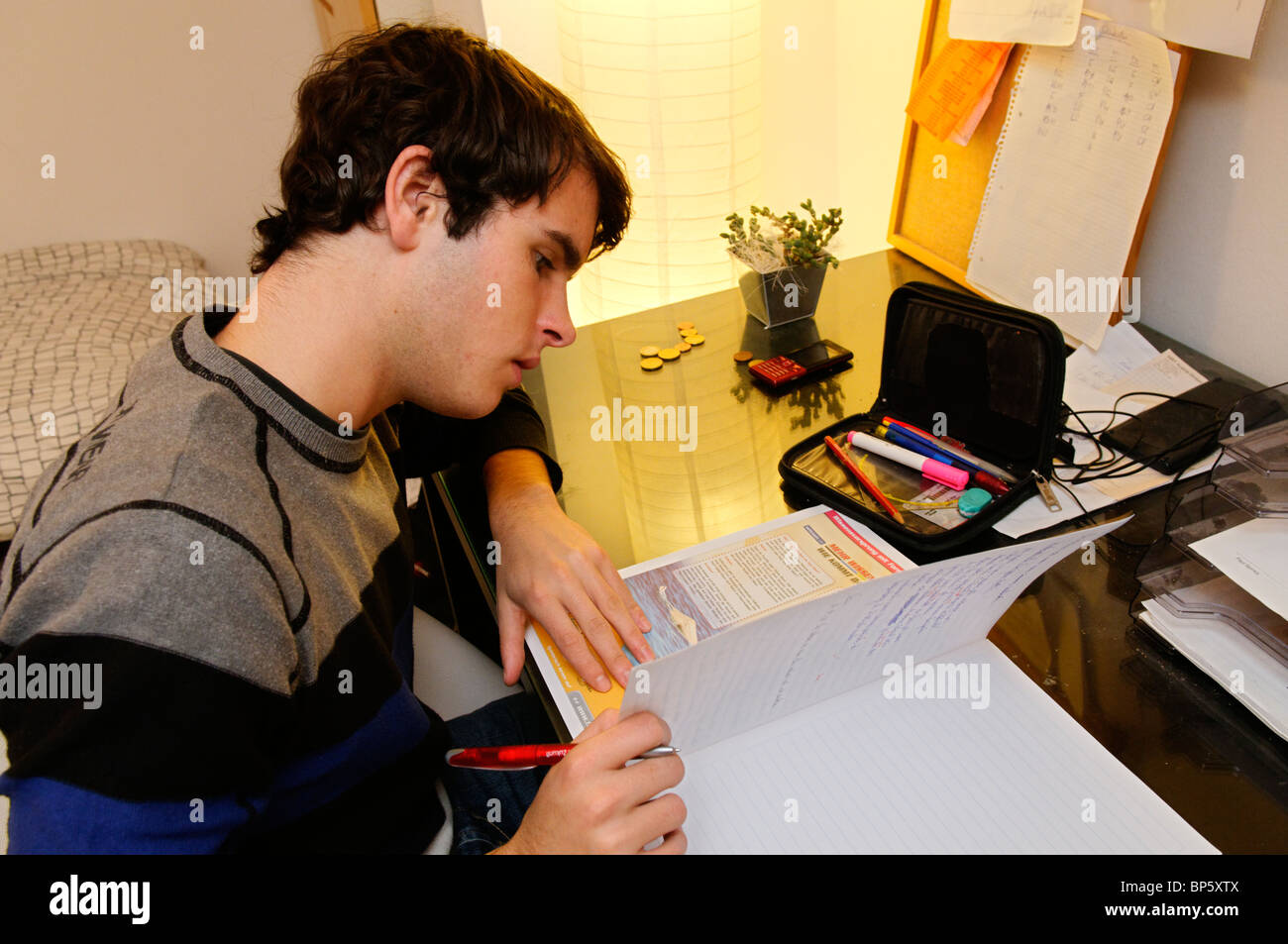 Étudiante autrichienne fait ses devoirs en langue allemande Banque D'Images