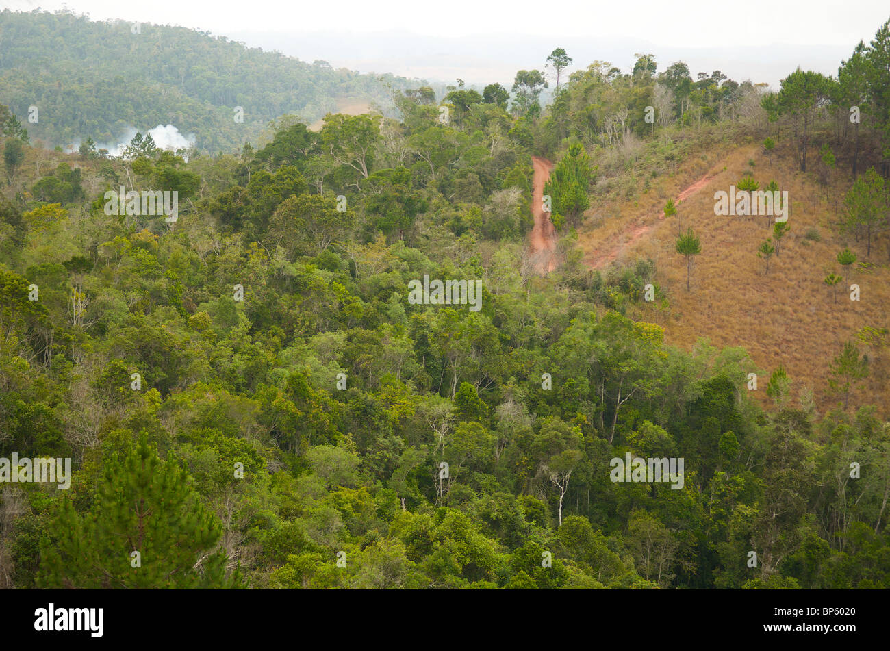 La fragmentation des forêts, à Madagascar. Banque D'Images