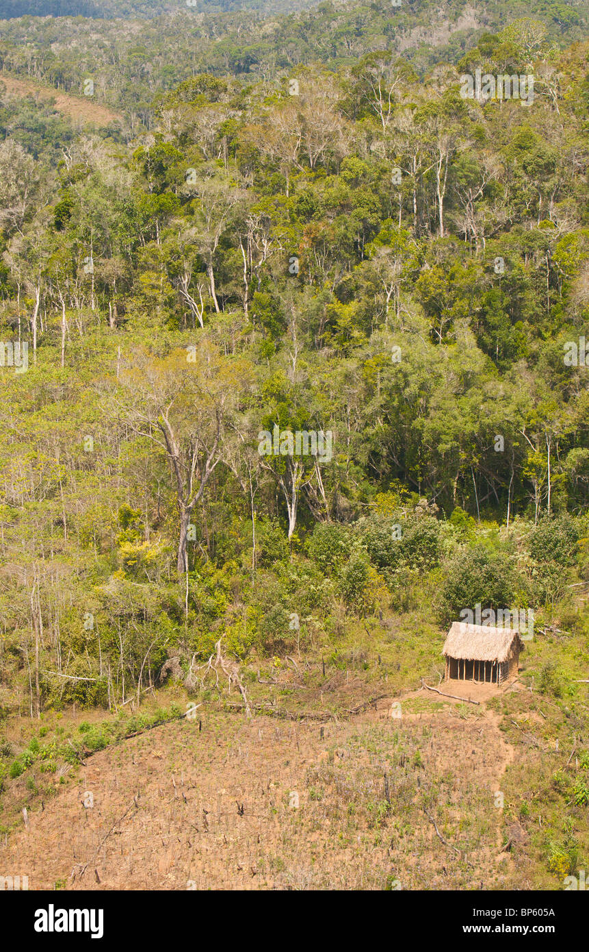 L'empiètement des forêts, à Madagascar. Banque D'Images