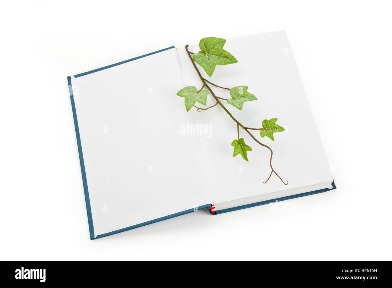 Livre bleu et de germination, l'éducation concept Banque D'Images
