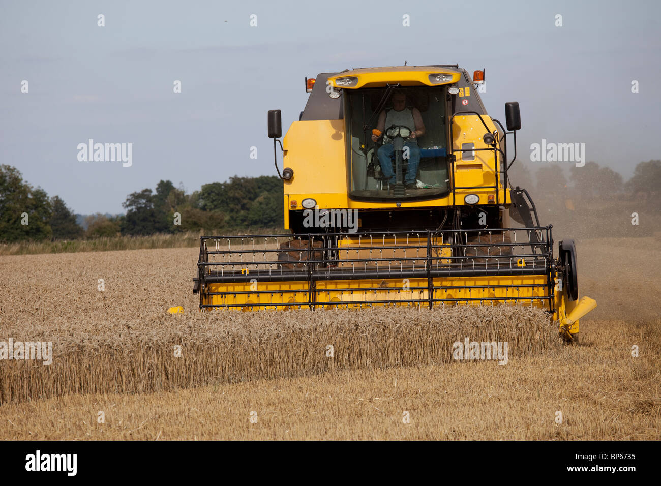 Moissonneuse-batteuse New Holland la récolte du blé domaine Cotswolds UK Banque D'Images
