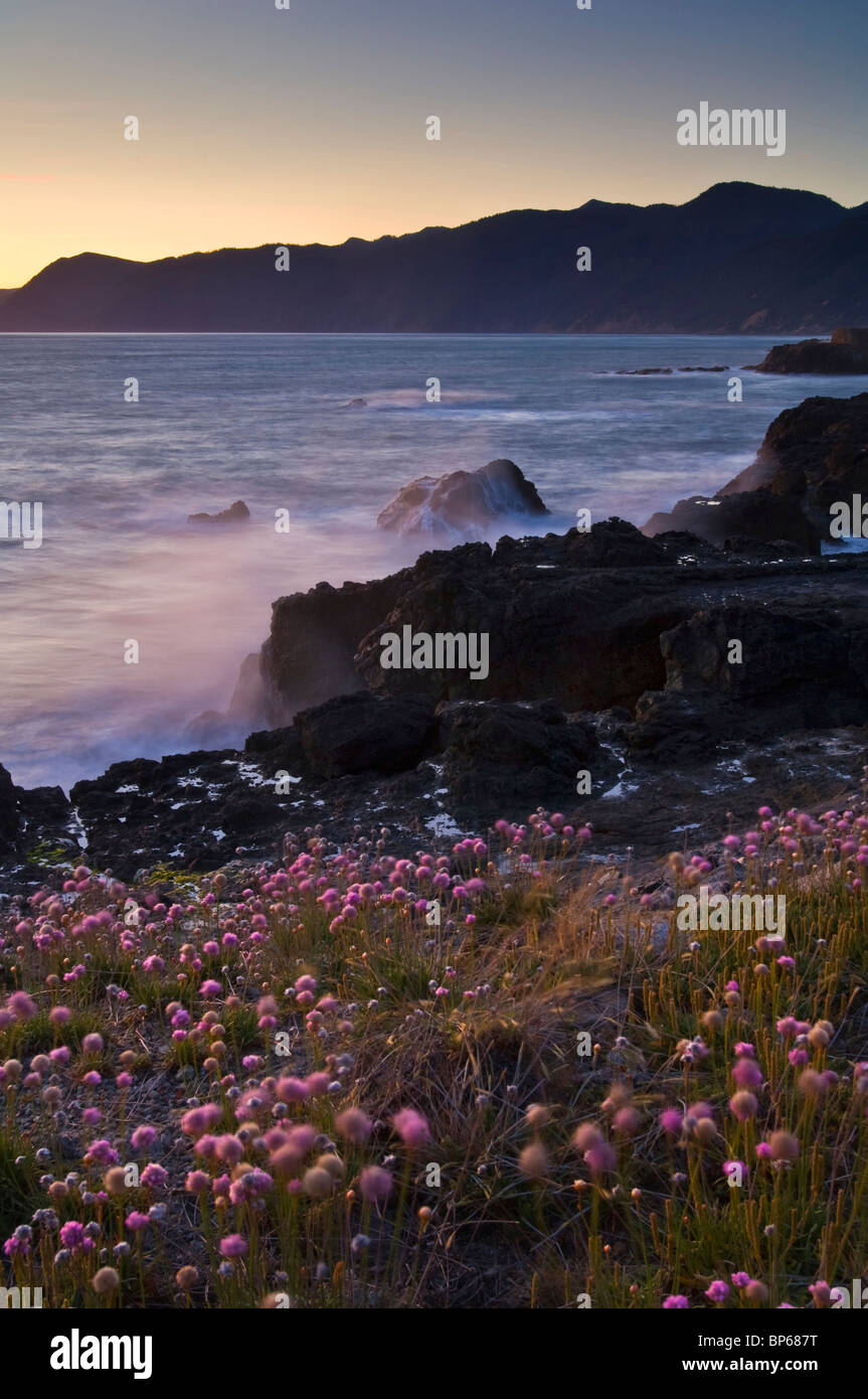 Lumière du soir sur la Lost Coast at Shelter Cove, comté de Humboldt, en Californie Banque D'Images