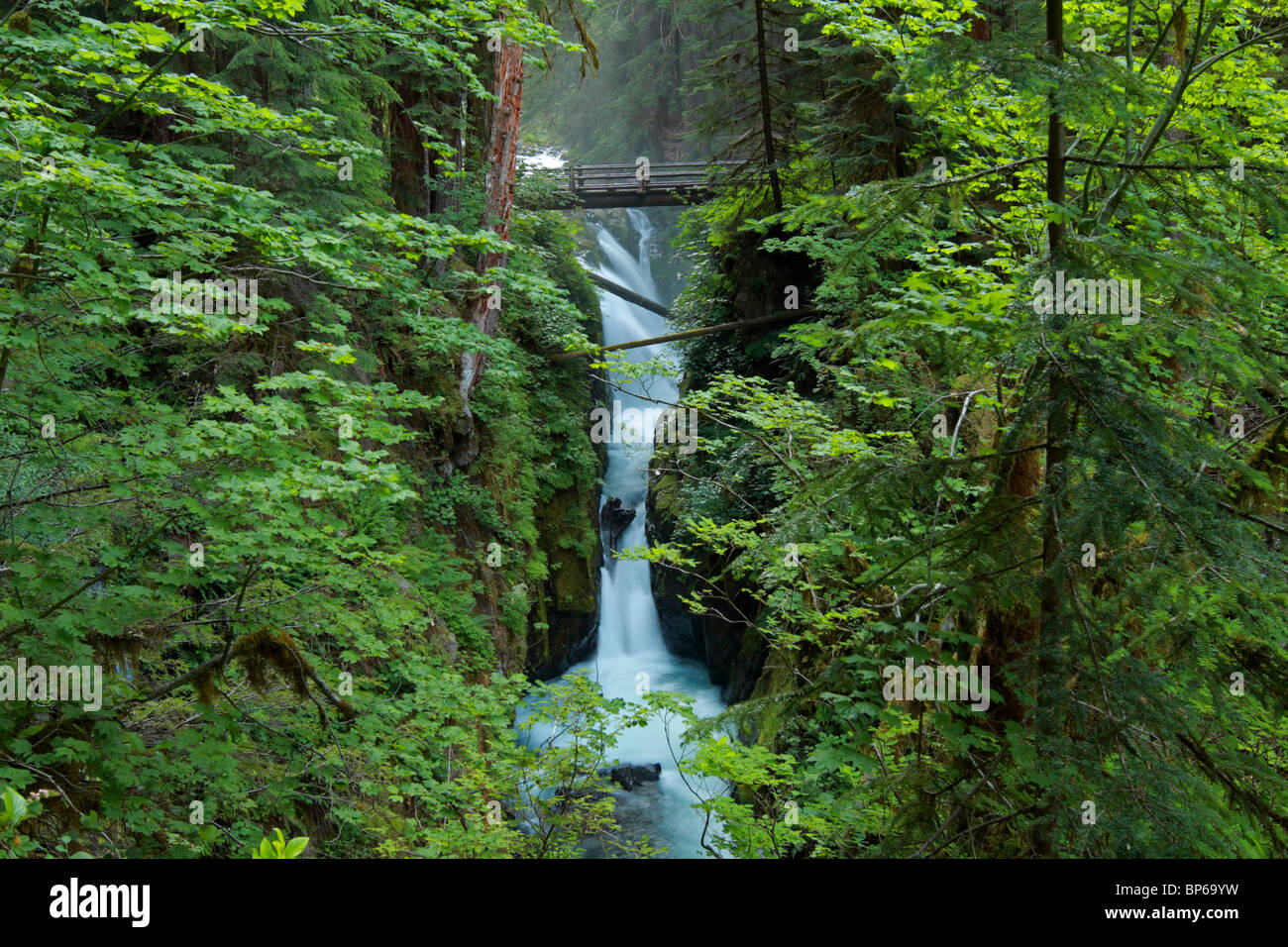 Le Sol Duc Falls dans le parc national Olympic sont situées dans la région du nord-ouest du parc, à 40 minutes à l'ouest de Port Angeles. Banque D'Images