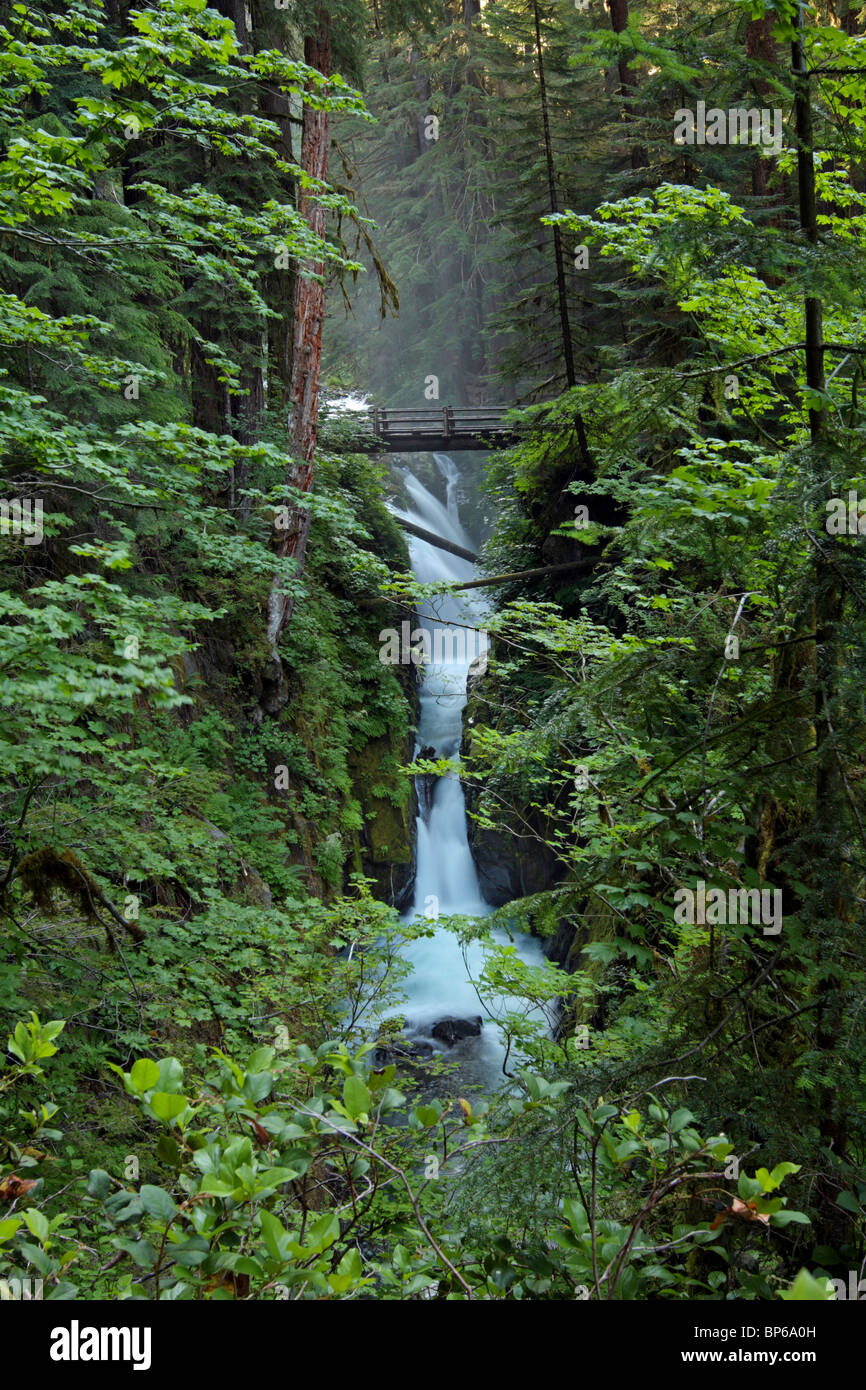 Le Sol Duc Falls dans le parc national Olympic sont situées dans la région du nord-ouest du parc, à 40 minutes à l'ouest de Port Angeles. Banque D'Images