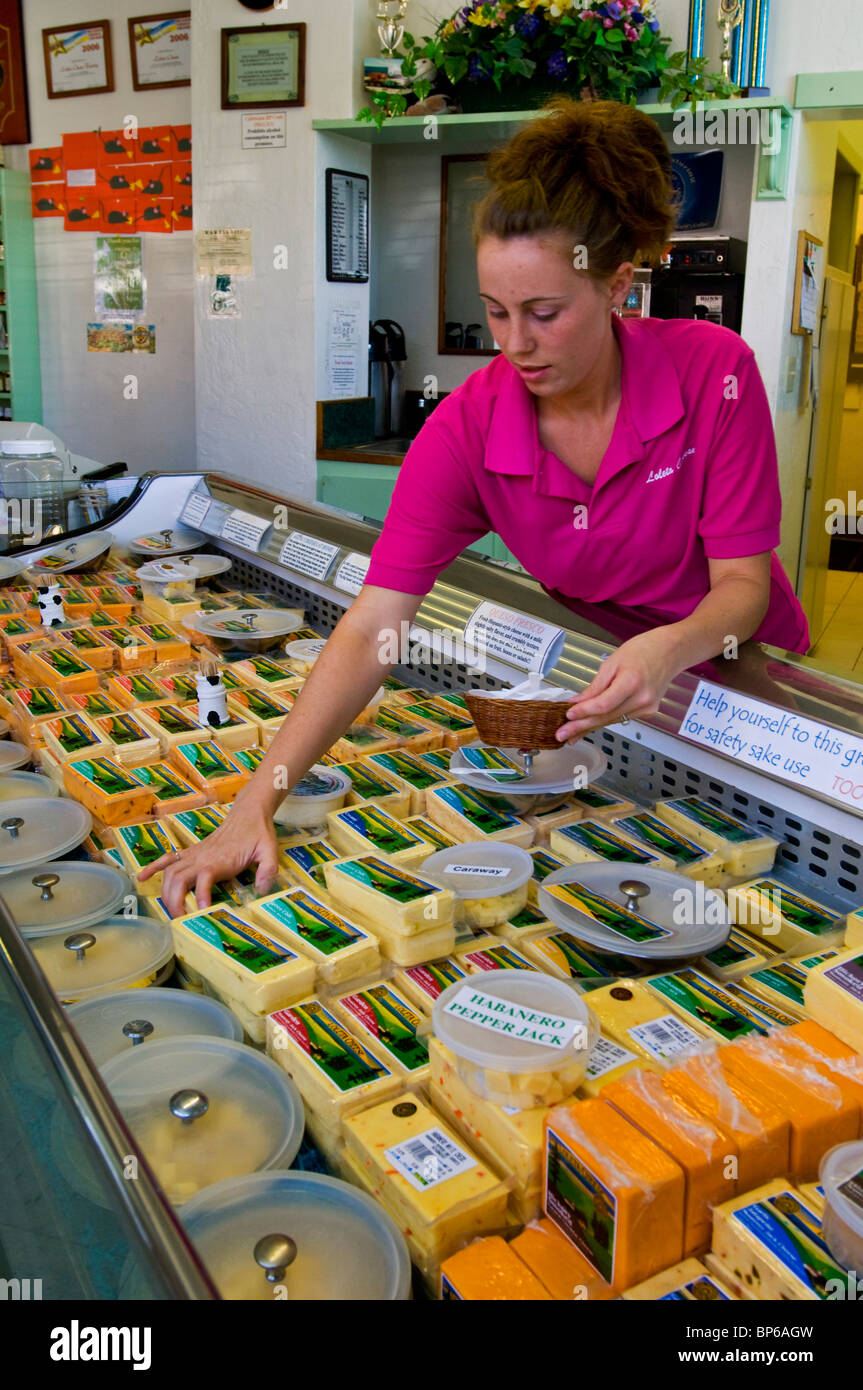 Jeune femme d'organiser pour la vente de fromage à la Loleta Cheese Factory, Loleta, Californie Banque D'Images