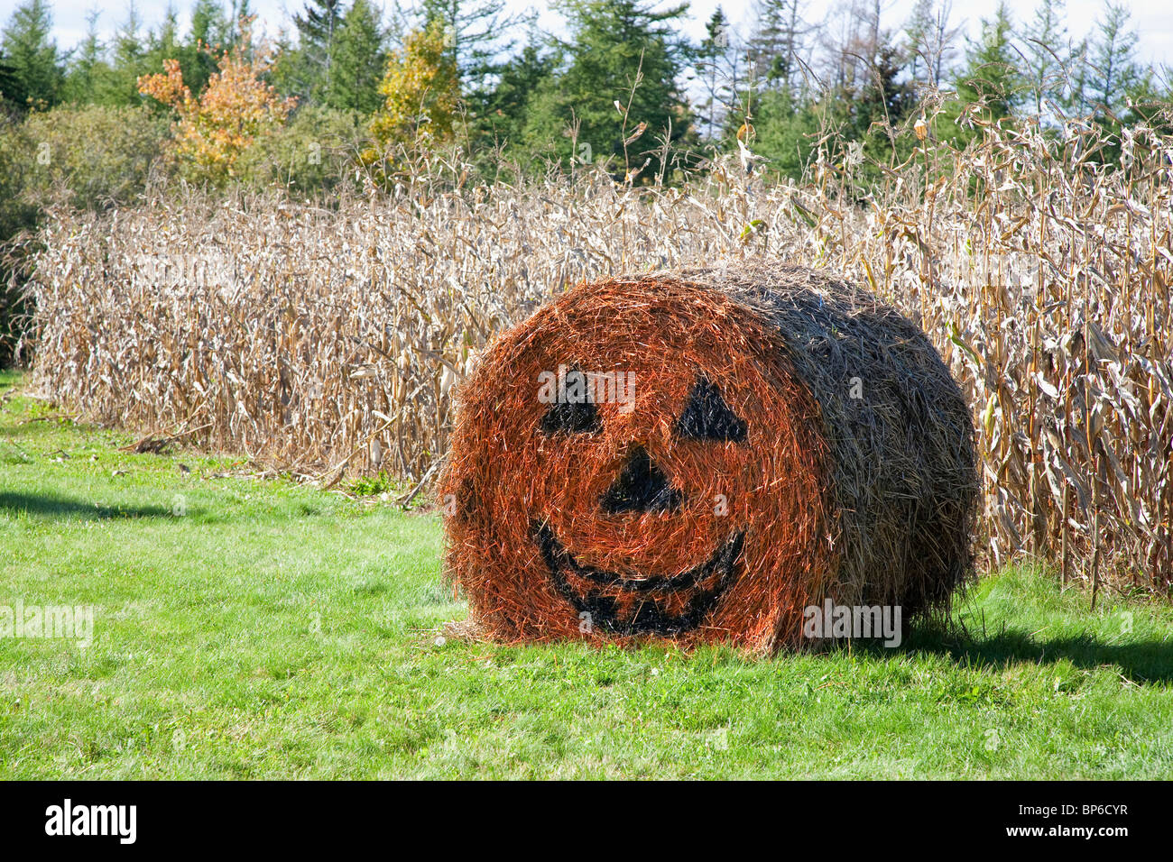 Décoration Halloween le ballot de paille sur une exploitation agricole dans les régions rurales de l'Île du Prince-Édouard, Canada. Banque D'Images