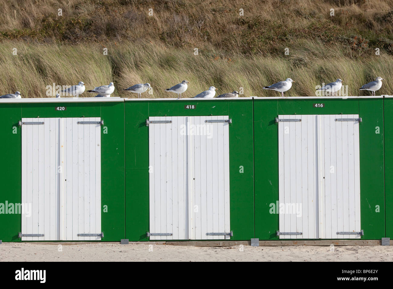 Maisons de Plage à la plage de Domburg Banque D'Images