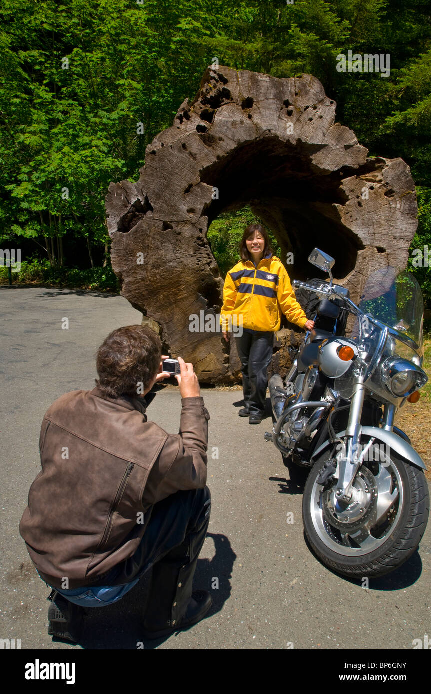 Couple de touristes motocycliste prenant instantanés au roadside attraction, Avenue des Géants, Humboldt County, Californie Banque D'Images