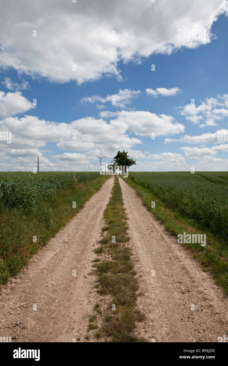 Un chemin de terre, la diminution optique Banque D'Images
