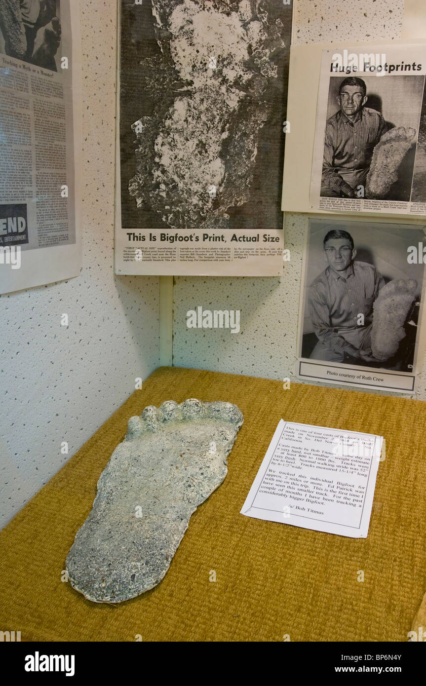 Bigfoot artefacts et jette l'empreinte sur l'affichage à l'Willow Creek - Chine Télévision Museum, Willow Creek, Californie Banque D'Images