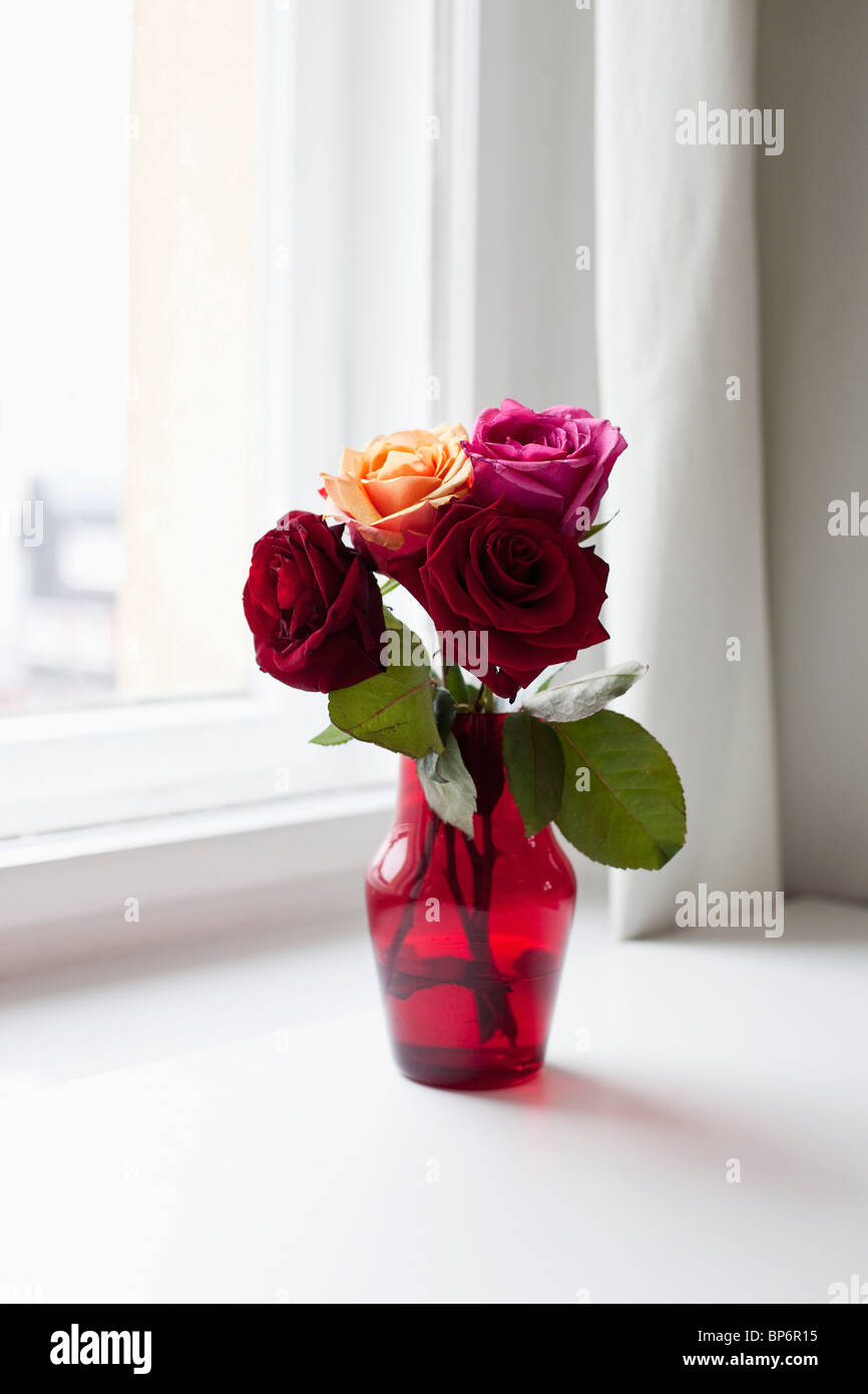 Roses dans un vase sur un rebord de fenêtre Banque D'Images