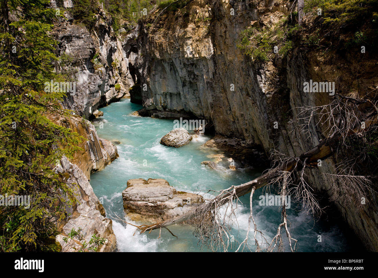 En Canyon, l'eau de fonte glaciaire channel, dans le Parc National de Kootenay, Rocheuses, Canada Banque D'Images