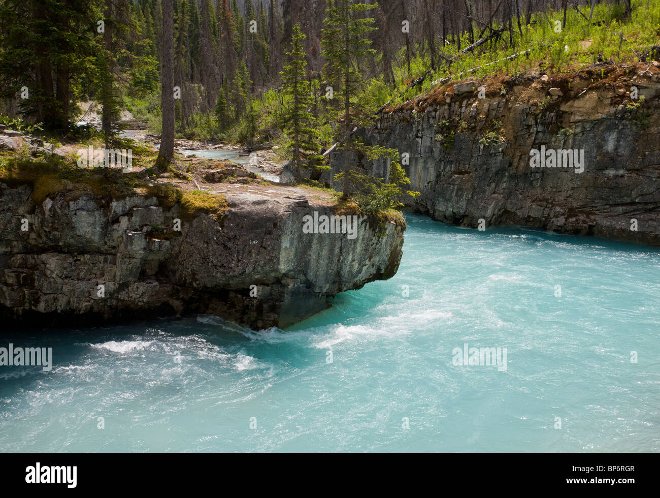 En Canyon, l'eau de fonte glaciaire channel, dans le Parc National de Kootenay, Rocheuses, Canada Banque D'Images