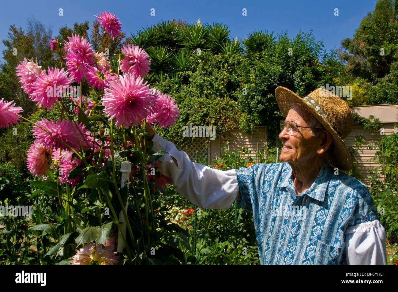 Homme âgé travailler à l'extérieur comme bénévole à Gardner Côte Sud Jardin Botanique, Péninsule de Palos Verdes, California Banque D'Images