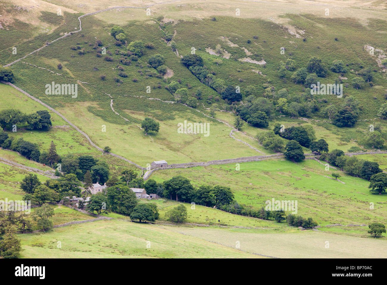 En regardant vers le bas à partir de Swindale Mosedale dans le nord-est du Lake District, Cumbria, Royaume-Uni. Banque D'Images