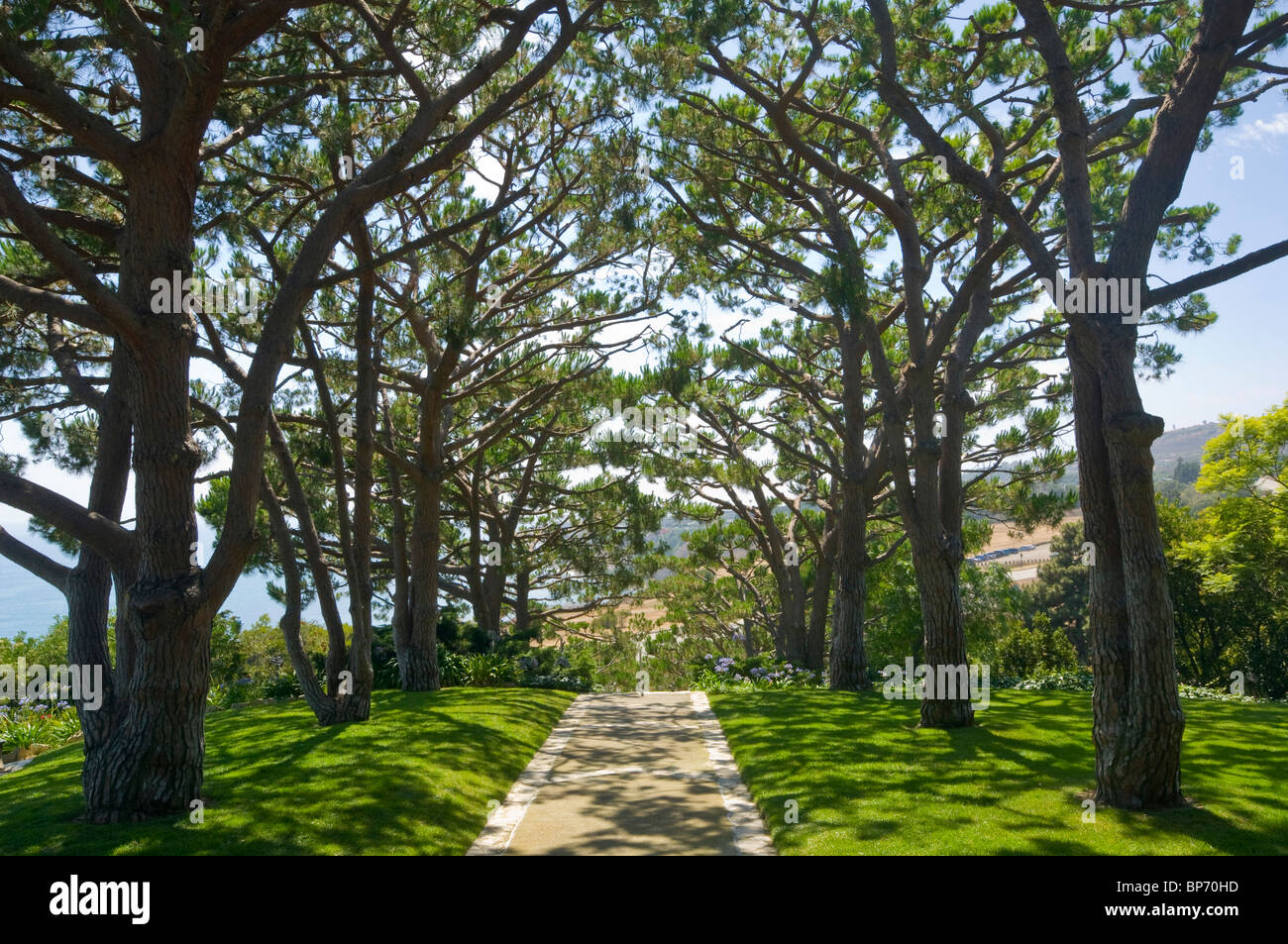 Sentier bordé d'arbres et l'herbe à la Chapelle des voyageurs, Palos Verdes Peninsula, Los Angeles County, Californie Banque D'Images