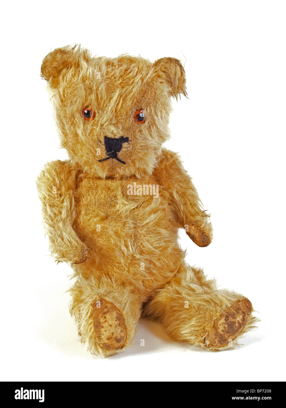 Ours en peluche sur un arrière-plan uni, blanc. Banque D'Images