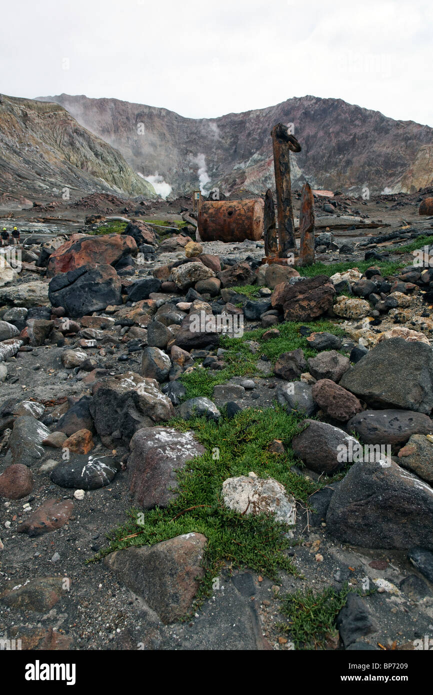 Vue d'un désert vieux boliers et ancres sur White Island Banque D'Images