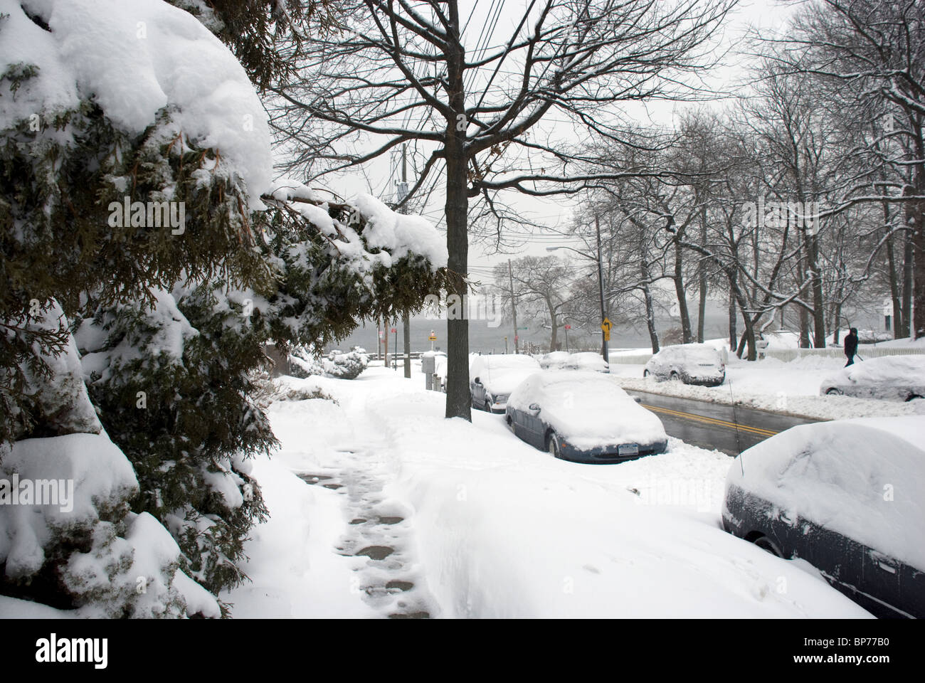 Quartier de New York, de trottoir et les voitures de la rue après une importante chute de neige Banque D'Images