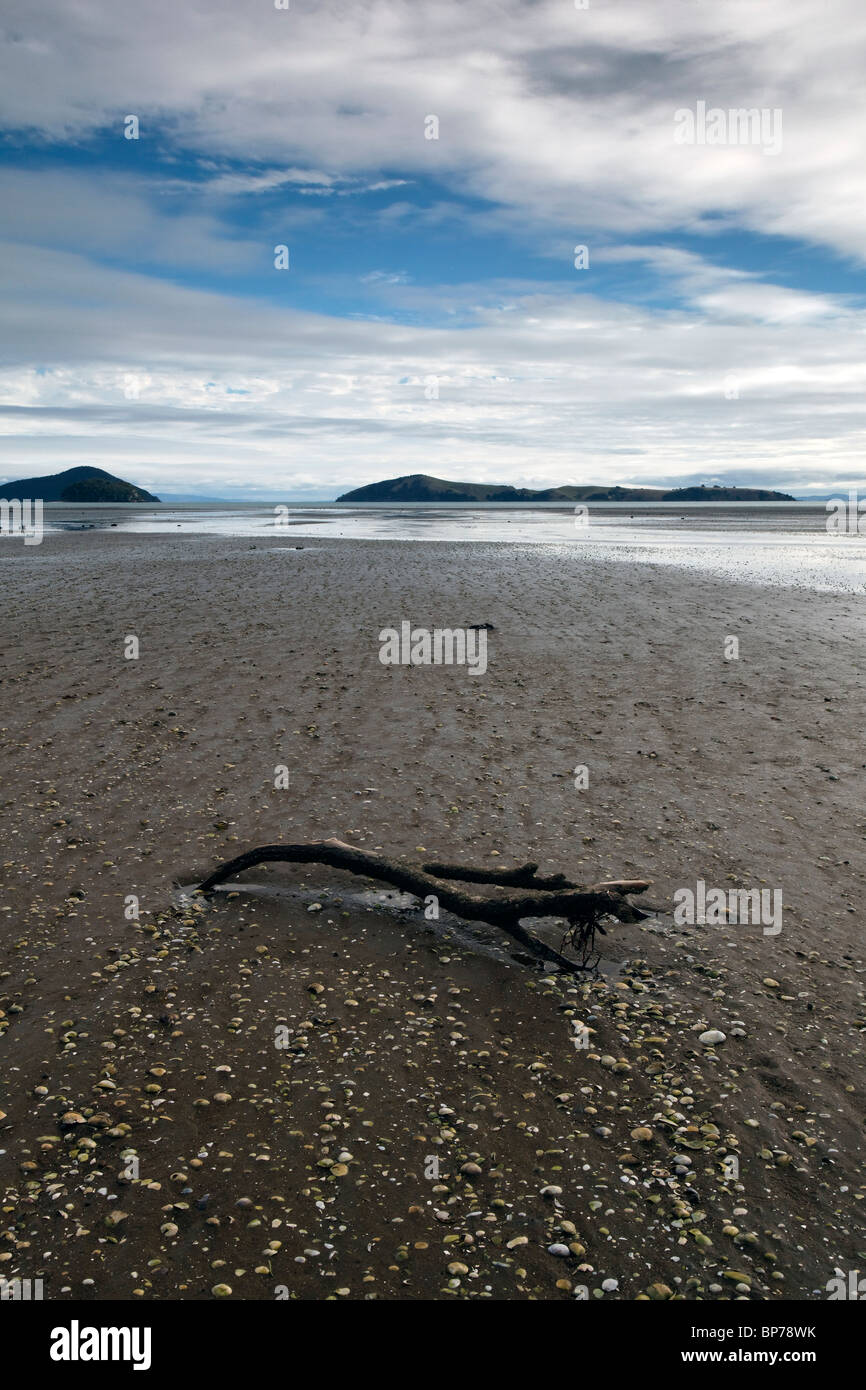 Vue de Shelly Beach sur néos-zélandais Coromandel Banque D'Images