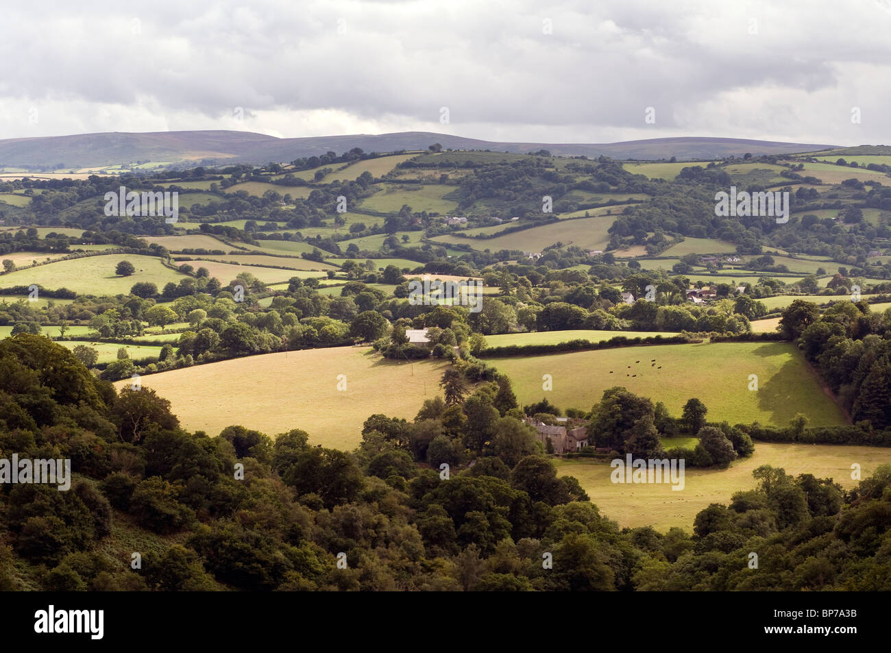 Contreforts de Dartmoor, dans le Devon, Dartmoor National Park,enregistrer nos haies, campagne pour protéger l'Angleterre rurale,combe Banque D'Images
