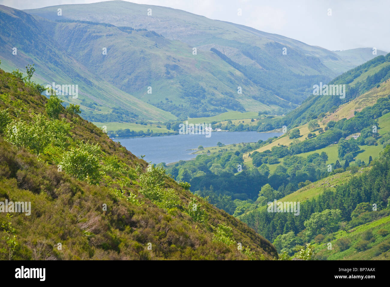 À la recherche jusqu'à Tal-y-Llyn, Dolgellau, Snowdonia, le nord du Pays de Galles Banque D'Images