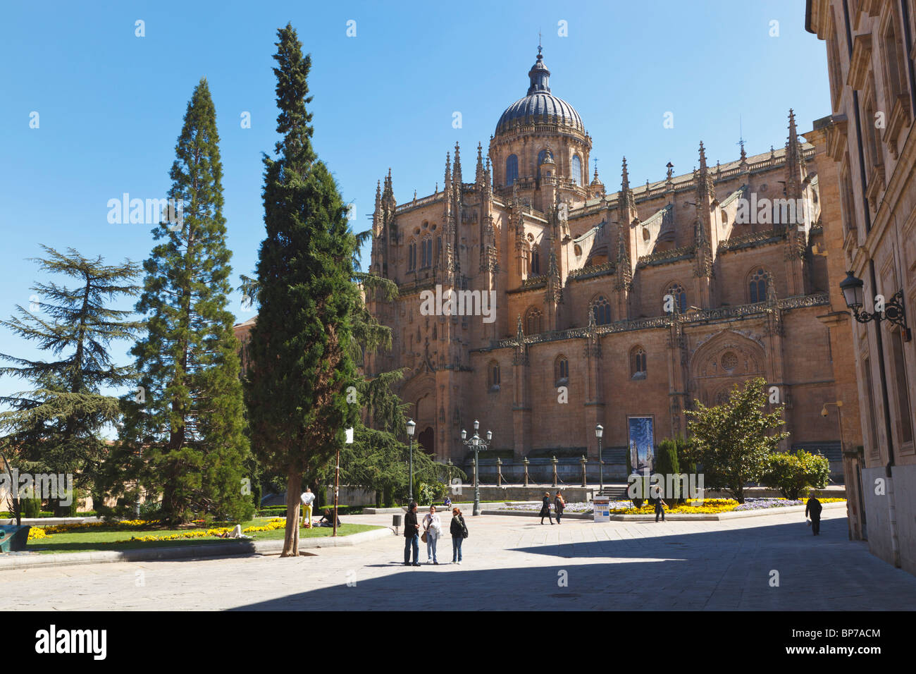 Salamanque, Province de Salamanque, Espagne. La cathédrale vu de l'autre côté de la Plaza d'Anaya. Banque D'Images