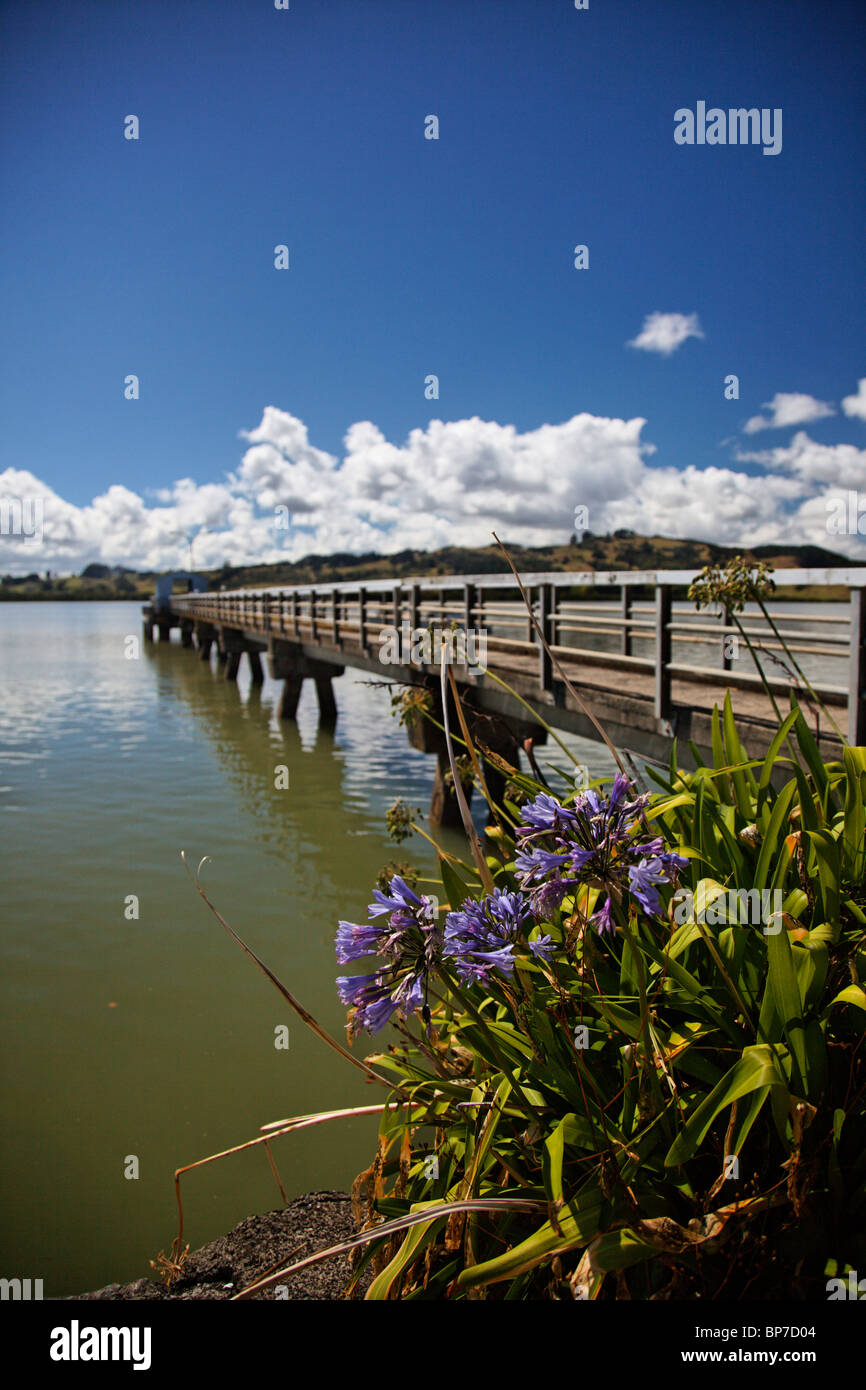 Vues des Kohukohu en Nouvelle Zélande Banque D'Images