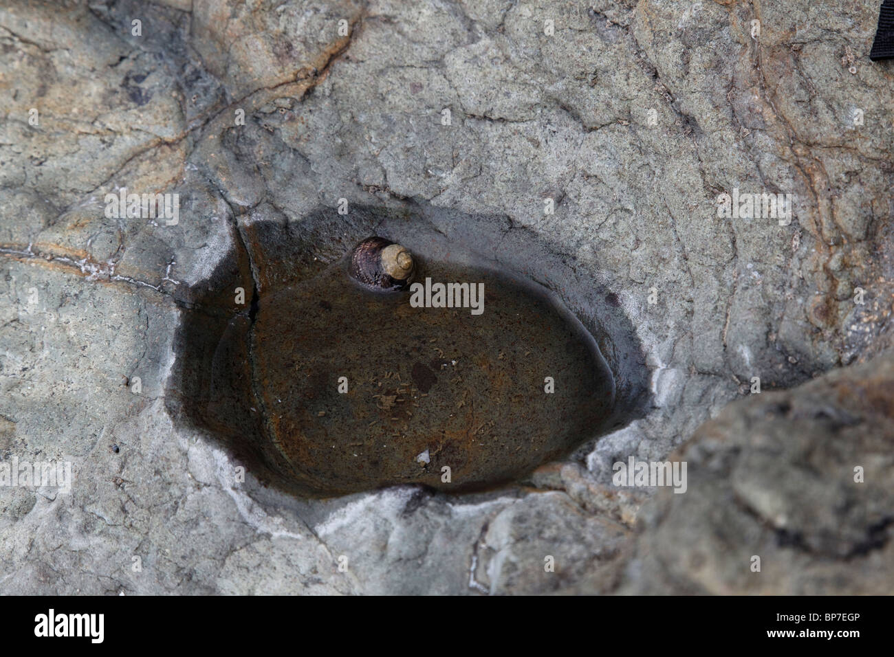 Scènes de plage en Nouvelle Zélande Banque D'Images