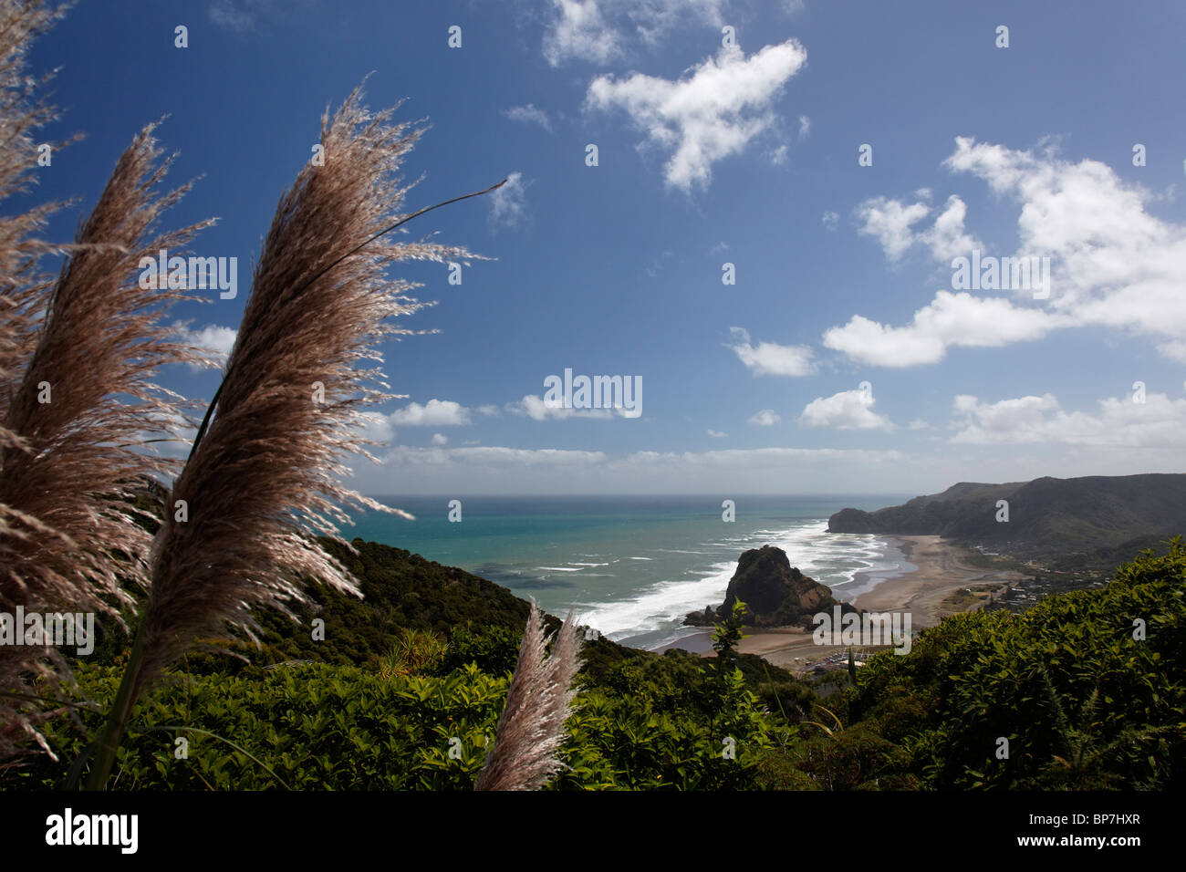 Vues de Piha beach en Nouvelle Zélande avec le Rocher du Lion Banque D'Images