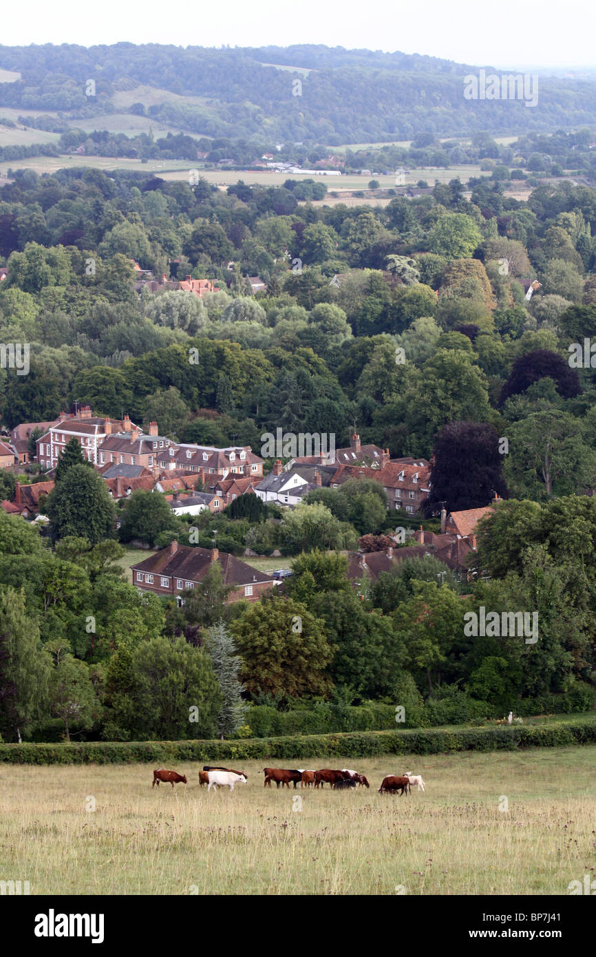 Vue sur Goring et Streatley, Oxfordshire/West Berkshire, England, UK Banque D'Images