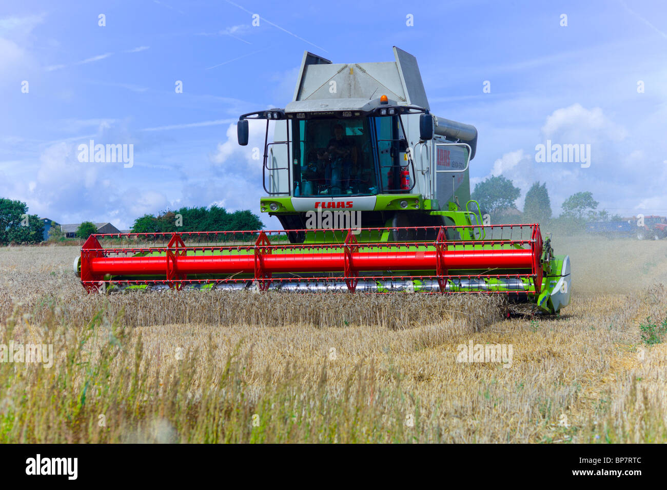 Une moissonneuse-batteuse la récolte d'un champ de blé Banque D'Images