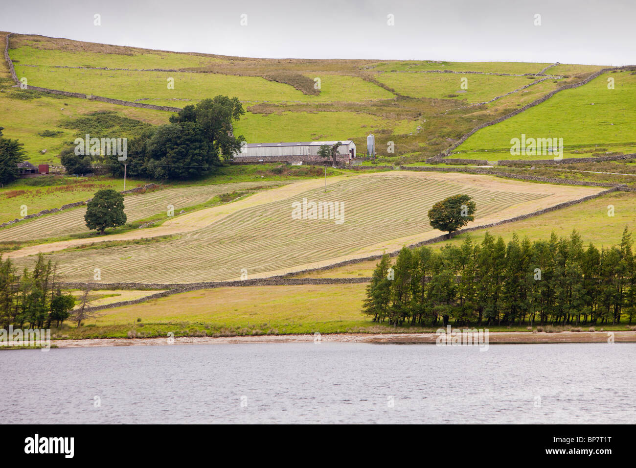 Un hill farm dans Sleddale humide avec de l'herbe tondue pour le foin dans le Lake District, UK. Banque D'Images