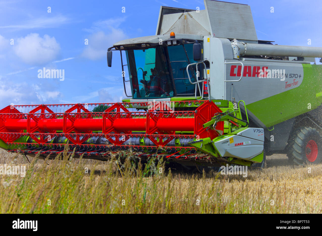 Une moissonneuse-batteuse la récolte d'un champ de blé Banque D'Images