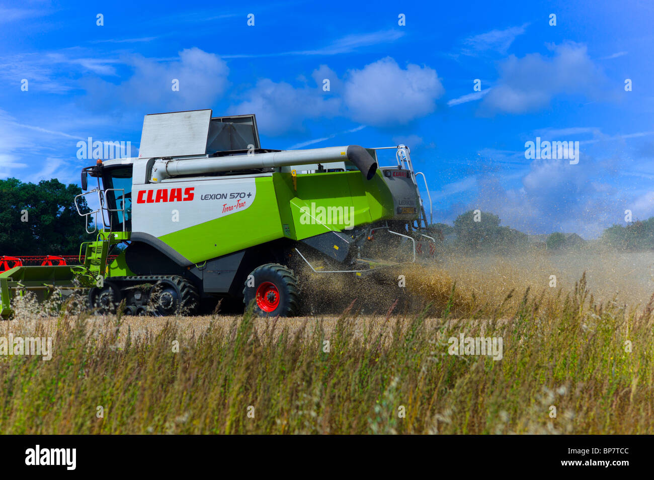 Une moissonneuse-batteuse la récolte d'un champ de blé Banque D'Images