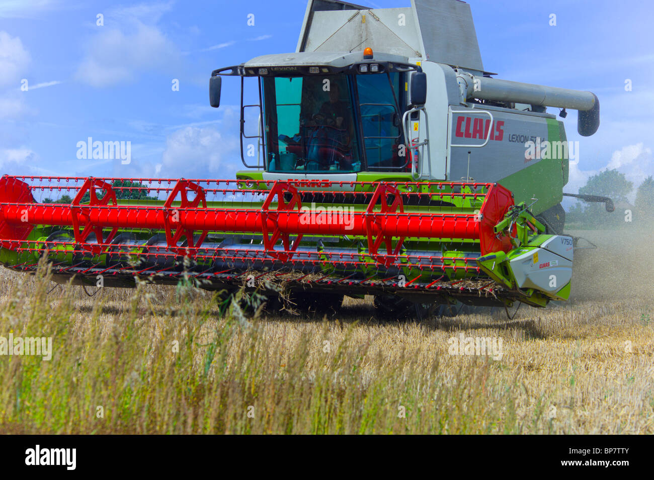 Une moissonneuse-batteuse la récolte d'un champ de blé Banque D'Images