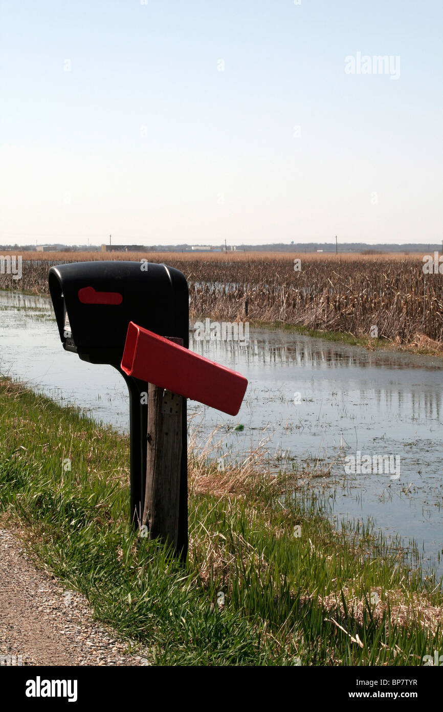 Cultures inondées le long d'une route rurale Banque D'Images