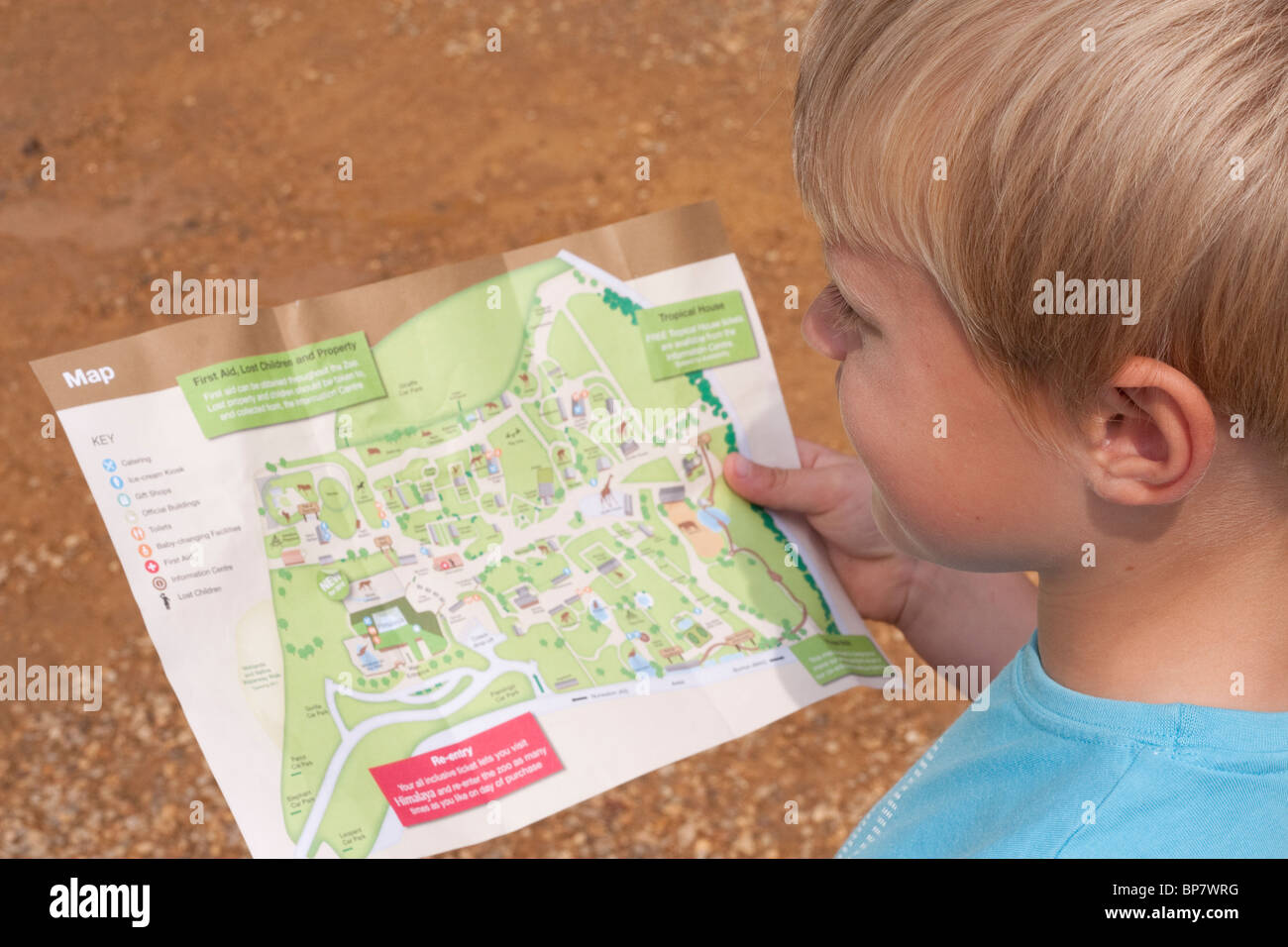 Un enfant reading a map Banque D'Images