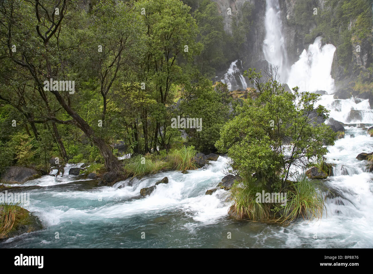 Tarawera Falls, Tarawera, près de la Baie Orientale, Kawerau d'Abondance, île du Nord, Nouvelle-Zélande Banque D'Images