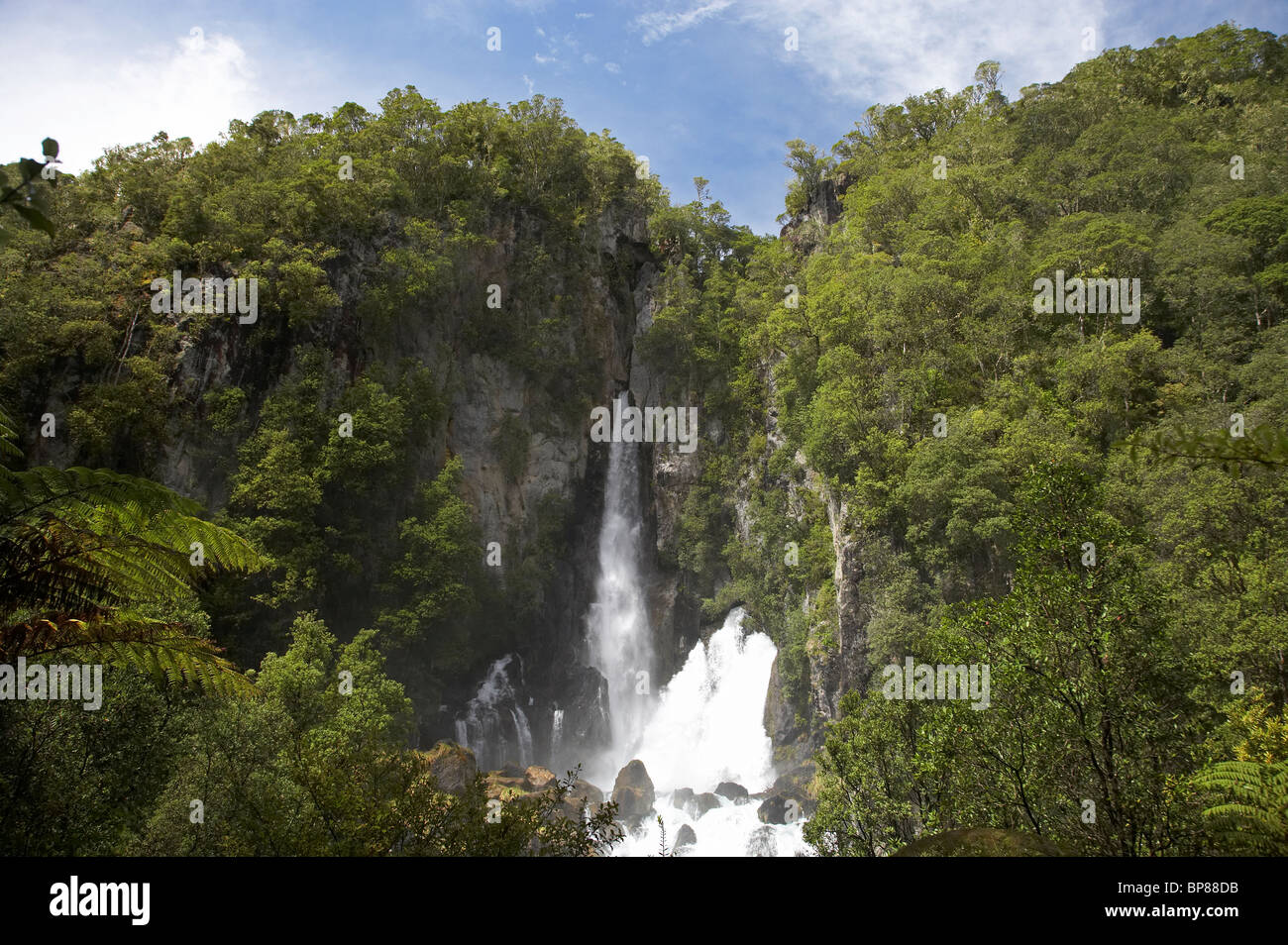 Tarawera Falls, Tarawera, près de la Baie Orientale, Kawerau d'Abondance, île du Nord, Nouvelle-Zélande Banque D'Images